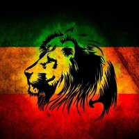 slion (@slion51) 's Twitter Profile