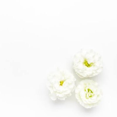 nannimo_naisa's profile picture. ♀/低身長アラサーおばさん/都内/細身/喫煙とアルコール/はやい話が裏垢です/ひとりごとばかり/DM返信基本しません