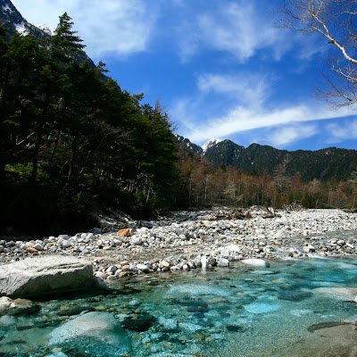 研精会栄養本部渡辺英一