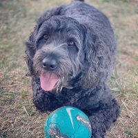 KRees318 (@kelseyrees) 's Twitter Profile