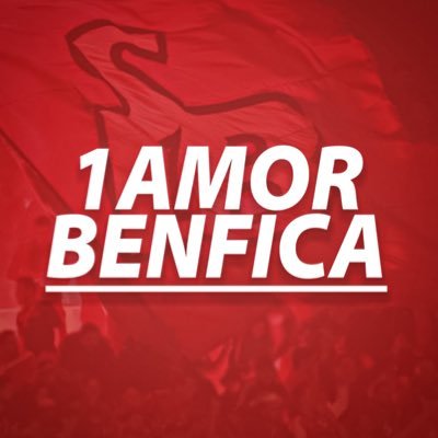 1amorbenfica Profile Picture