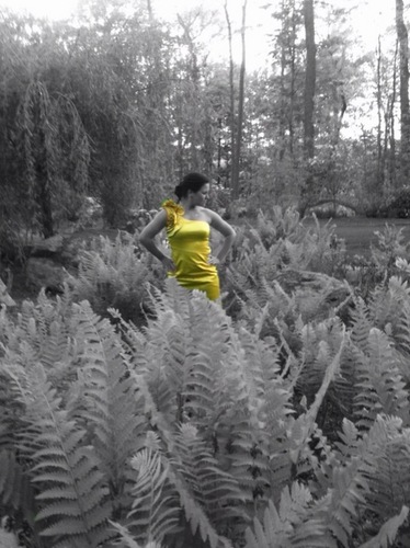 RBauerTaylor's profile picture. Vol. Mom. Politico. Fmr Dir. of Comms for @RepMikePompeo (KS-04). NOTE: This is a personal account reflecting personal opinions.