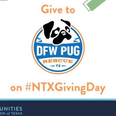 Dallas-Fort Worth Pug Rescue Club is one of the largest pug rescue orgs in the US. Thank you for helping us save thousands of lovable pugs. #NoPugLeftBehind