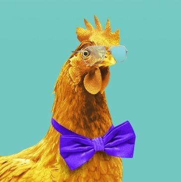 progneg721's profile picture. 🐔