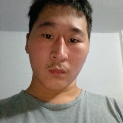 Twitch streamer who plays anything