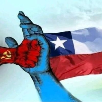 Boric no es mi presidente!!!