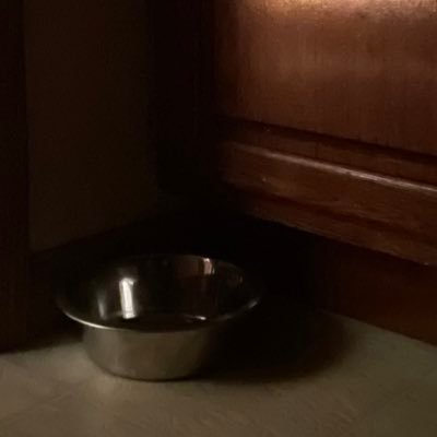 gosho_nihon's profile picture. 私はみんなをフォロー! 西部の芸術音楽、コンピューター、およびビデオゲームが好き。