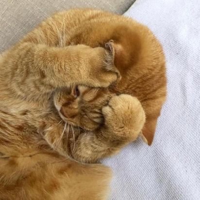 oabsuado's profile picture. Porque uma maldição é só uma bênção ruim