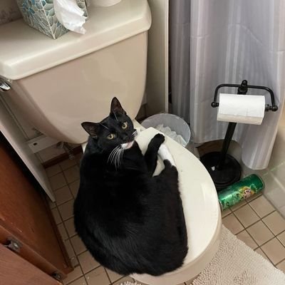 KandyJohn14's profile picture. 