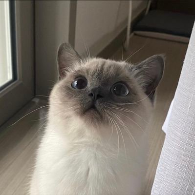 up