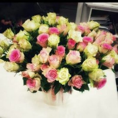 Namish256049265's profile picture. 