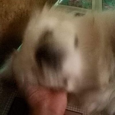 Ray☆さんのプロフィール画像