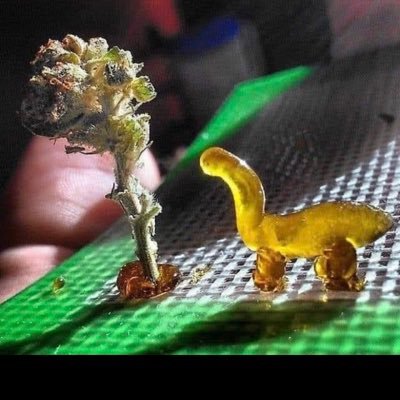 AlexLop78058237's profile picture. 