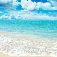 NH14122473's profile picture. ログインできなくなっちゃったのでアカウント再作成しました。♯同女