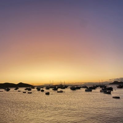 ethlawyermza's profile picture. 