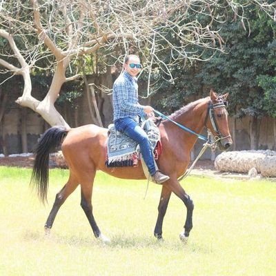 secretcode90's profile picture. 