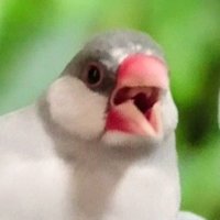 gris. (@grisa0008) 's Twitter Profile