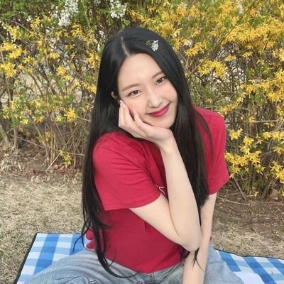 only for #ENHYPEN & #MOMOLAND