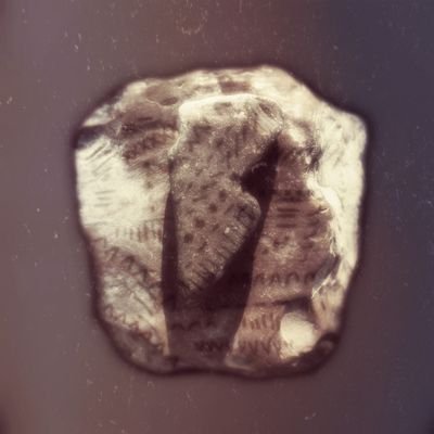 unariati's profile picture. infinita unitas omnium

est. 1922