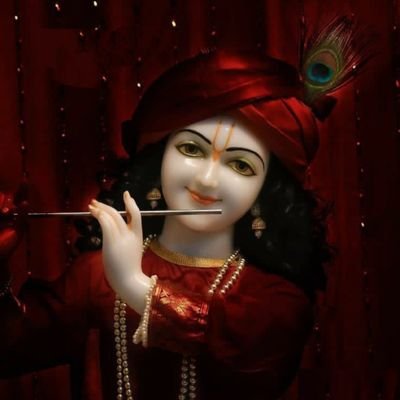 BajajKirtii's profile picture. Busy