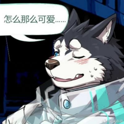 Furry/很想色色/XP较多/181.65/认出请别声张