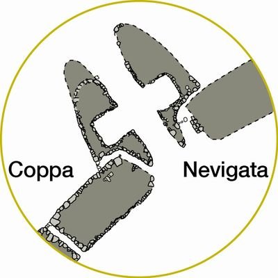 Archaeological project focused on the Bronze Age fortified settlement of Coppa Nevigata.
Directed by A. Cazzella and M. Moscoloni 1983-2020, G. Recchia 2021-