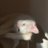 MaryLg1994's profile image