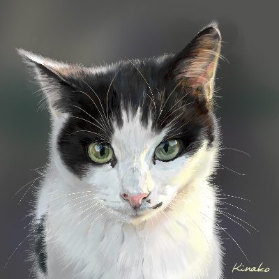 きなこ(猫の絵を描いています）さんのプロフィール画像