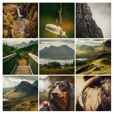 Landscape/outdoors/nature photography. All my own content
