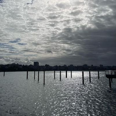 alkhalidy254's profile picture. What's Up Fellows .
United supporter by blood
.
.
.
.
MSA🏝️