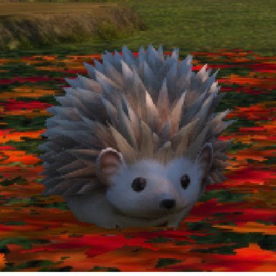 Hedgehog and his potato
Bad at taking pictures, open to advice and new friends
DM's always open.