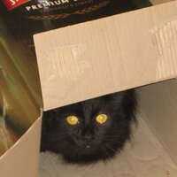 Amanda Vlandis (@mrsvlandis) 's Twitter Profile