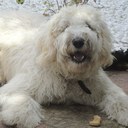 Janet Penman - @Sp55dy - Twitter