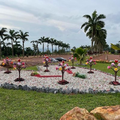 missDedeOtu's profile picture. Tax..Books...... #forzamilan🔴⚫️ ... 악인에게는 휴식이 없다 …There’s absolutely no rest for the wicked....crazy about formula 1🏎 #TeamLH #LH44