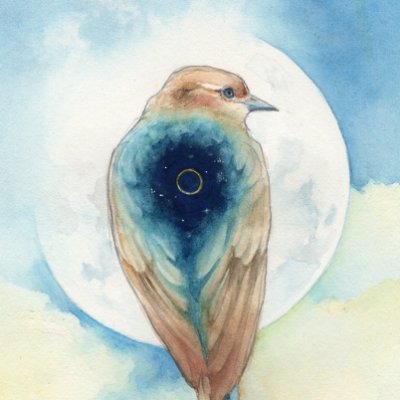 辺さんのプロフィール画像