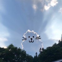 仙石 (@noin3) 's Twitter Profile Photo