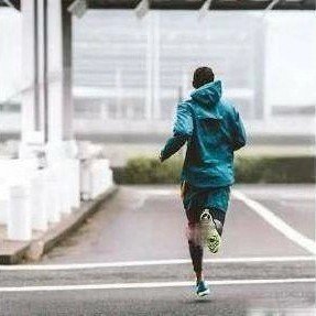 alhong592's profile picture. Xiamen tancheng import and export