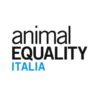 Animal Equality è un’organizzazione internazionale per la protezione degli animali allevati a scopo alimentare, attiva in 8 paesi tra Europa, America e Asia.