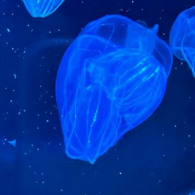 yudaikun0819's profile picture. 