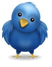 tweetupnow's profile picture. Everyone interested in organizing or attending Tweetups should follow this profile. We will be organizing physical and virtual Tweetups soon in your area.