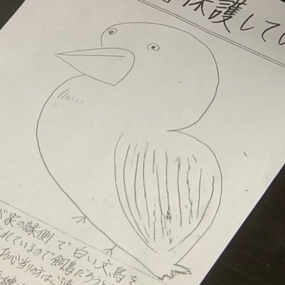 hct_HB's profile picture. ⚾️オリファン初心者🔰｜🐮#71 #70 #82（監督コーチ陣が好き） #15 #7 #2 #40｜RTいいね無言フォローお許しください｜NHKよく見ます｜鳥好き｜バファローズトレカ aya71｜