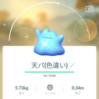 tenpapokego Profile Picture