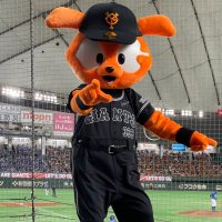 闇のうさぎV2 (@shooo61011) 's Twitter Profile Photo 闇のうさぎV2 (@shooo61011) 's Twitter Profile Photo