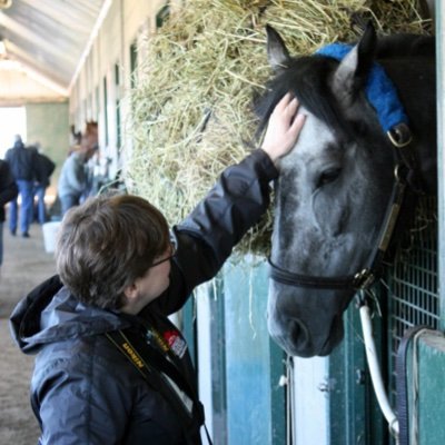 Talking about Thoroughbred horse racing. Into turf writing, open data, equine safety, archives. Formerly @breederscup, @raceday360, @dailyracingform.