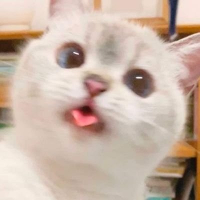 왕さんのプロフィール画像
