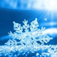 libe (@liber_libe) 's Twitter Profile