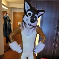 Squeaky Barking Awoo(@SqueakyAwooAD) 's Twitter Profile Photo