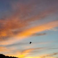 村雨 (@kiritachi11) 's Twitter Profile Photo 村雨 (@kiritachi11) 's Twitter Profile Photo