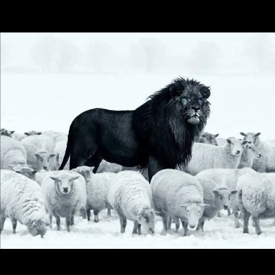 United we Stand! Divided we Fall!🏛
Where We Go one We Go All!🙏