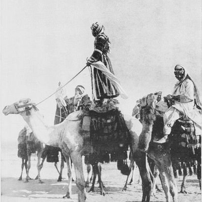 manzzmann's profile picture. وبالله .. لا بالناس تقضى المطالب.